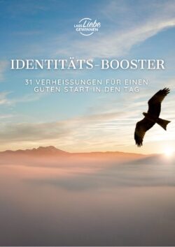 Identitaets Booster 31 Verheissungen pdf